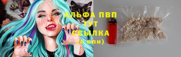 стаф Нефтекумск
