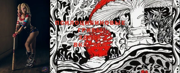 героин Новодвинск