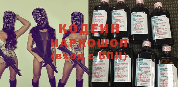 прущие грибы Няндома