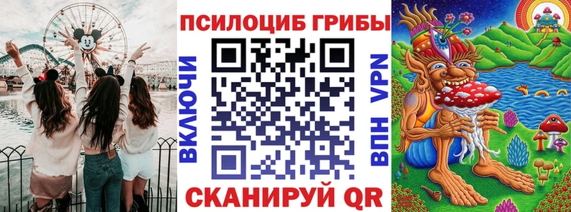 Галлюциногенные грибы Psilocybe  Купить закладки  Комсомольск 